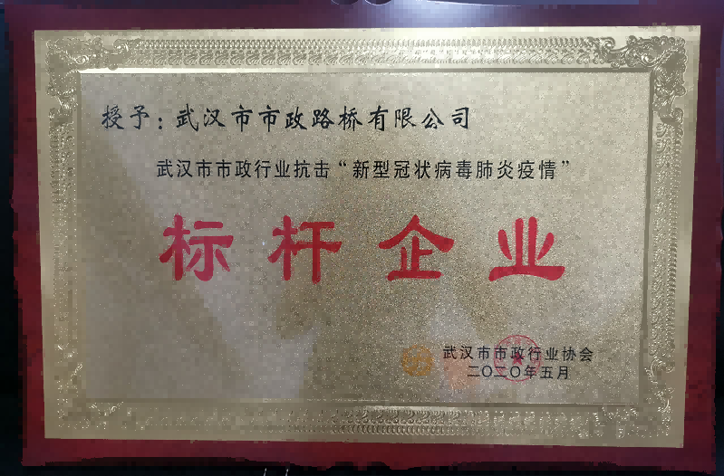 武漢市市政行業(yè)抗擊“新型冠狀病毒肺炎疫情”標(biāo)桿企業(yè)